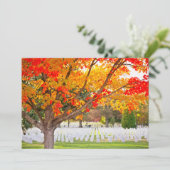 秋のアーリントン国立墓地 招待状 (スタンド正面)