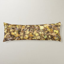 秋のイエロー葉コレクション