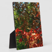 秋のイロハカエデ フォトプラーク (側面)