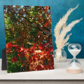 秋のイロハカエデ フォトプラーク (側面)