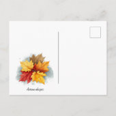 秋のウィスパーズのはがき ポストカード (裏面)