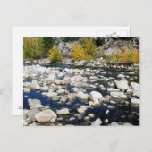 秋のウォーカー川 ポストカード (正面/裏面)