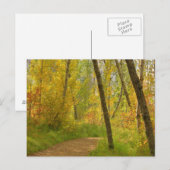 秋のウッドランズ ポストカード (正面/裏面)