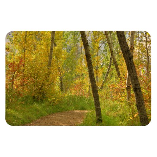 秋のウッドランズ マグネット (横)