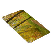 秋のウッドランズ マグネット (右側)