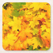 秋のエスケープ紙コースター（セット：6） スクエアペーパーコースター (正面)