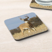 秋のオジロ鹿の木びき台 コースター (左側)