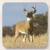 秋のオジロ鹿の木びき台 コースター (正面)