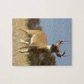 秋のオジロ鹿の木びき台 ジグソーパズル (横)