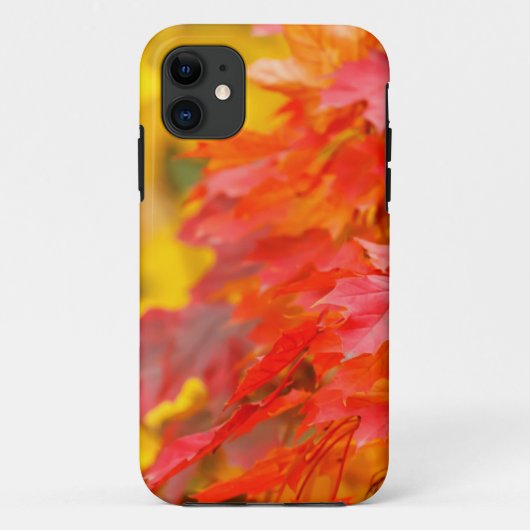 秋のオレンジおよび黄色の葉が付いている木 Case-Mate iPhoneケース (裏面)