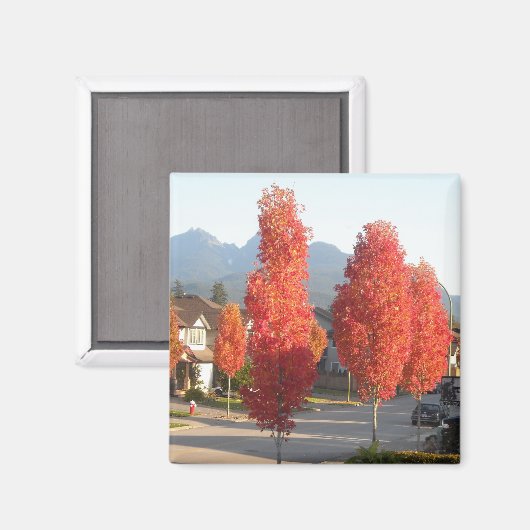 秋のオレンジの木 マグネット (正面/裏面)