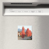 秋のオレンジの木 マグネット (インサイチュ (食洗機))