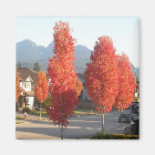 秋のオレンジの木 マグネット (正面)