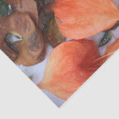 秋のオレンジランタン中国のプラント 薄葉紙 (詳細)