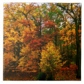 秋のオレンジ色の木 タイル (正面)