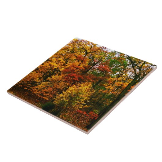 秋のオレンジ色の木 タイル (側面)