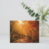 秋のオレンジ色の茶色の木の森の自然写真 ポストカード (スタンド正面)