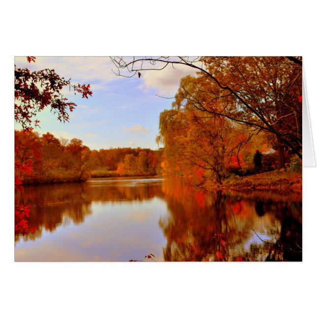 秋のオレンジ色の輝き (正面横)