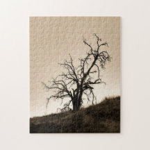 秋のオークツリー