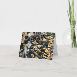 秋のオーター葉池 ノートカード