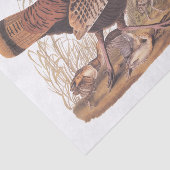 秋のオードボンターキーヘンとチックス 薄葉紙 (詳細)