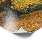 秋のカエデの木が覆われた田舎道を フォトプリント (角)