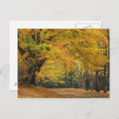 秋のカエデの木が覆われた田舎道を ポストカード (正面/裏面)