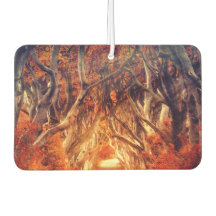 秋のカエデの木の森秋の森の葉