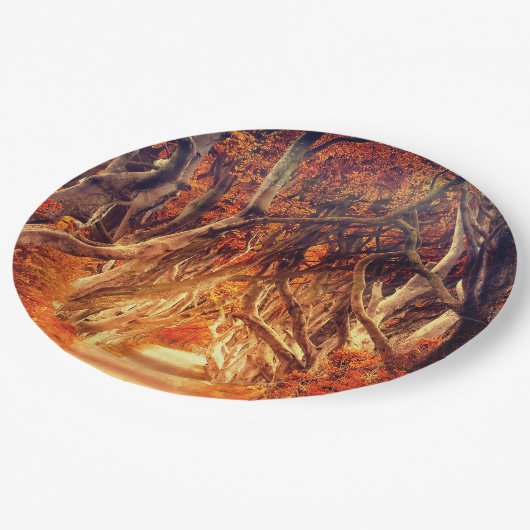 秋のカエデの木の森秋の森の葉 ペーパープレート (アングル)