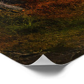 秋のカエデの木の森秋の森の葉 ポスター (角)