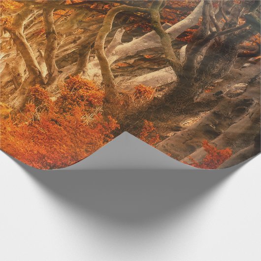 秋のカエデの木の森秋の森の葉 ラッピングペーパー (角)