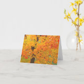 秋のカエデの木は公園カード6を開拓します カード (黄色い花)