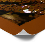 秋のカエデの木プリント風景ポスター ポスター (角)