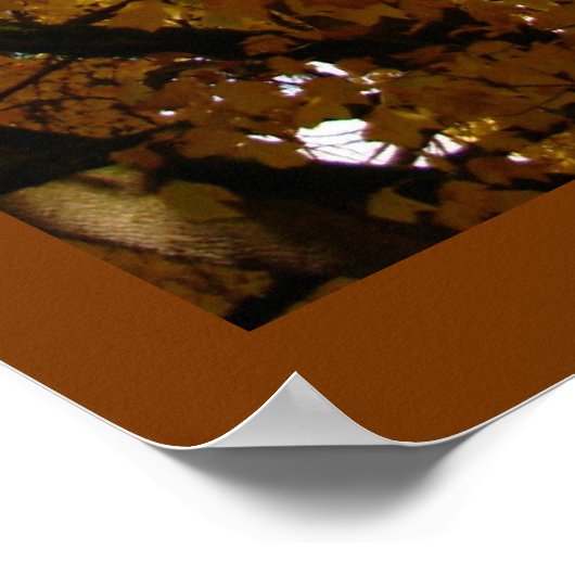 秋のカエデの木プリント風景ポスター ポスター (角)