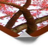 秋のカエデの木プリント風景ポスター ポスター (角)