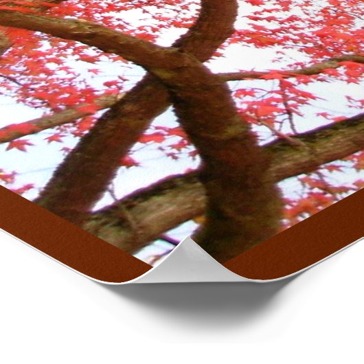 秋のカエデの木プリント風景ポスター ポスター (角)