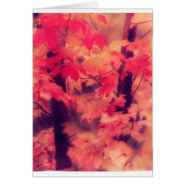 秋のカエデの木