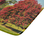 秋のカエデの木 – ガラスの板 カッティングボード (角)