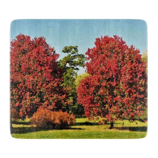 秋のカエデの木 – ガラスの板 カッティングボード (正面)