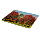 秋のカエデの木 – ガラスの板 カッティングボード (角)