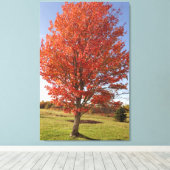 秋のカエデの燃える赤葉い キャンバスプリント (インサイチュ (ウッドフロア))