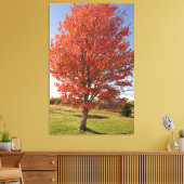 秋のカエデの燃える赤葉い キャンバスプリント (インサイチュ (リビング))