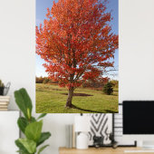 秋のカエデの燃える赤葉い ポスター (ホームオフィス)