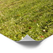 秋のカエデの燃える赤葉い ポスター (角)