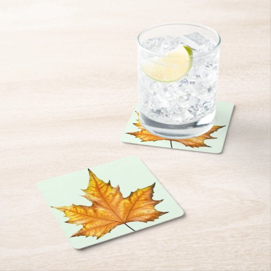 秋のカエデの葉 スクエアペーパーコースター (インサイチュ)