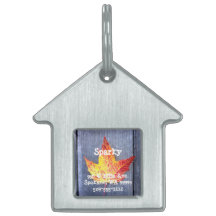 秋のカエデの葉