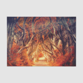 秋のカエデ林 薄葉紙