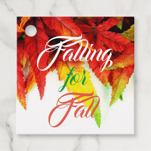 秋のカエデ葉の赤エレガントに落ちる フェイバータグ (正面)