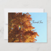 秋のカエデ葉ス シーズンカード (正面)