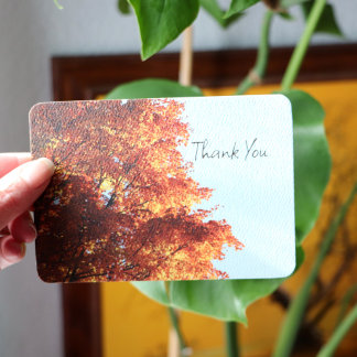 秋のカエデ葉ス シーズンカード